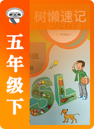 树懒速记-小学-人教版一年级起点-五年级（下）